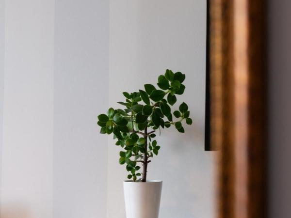 Port View : photo 8 de la chambre chambre double