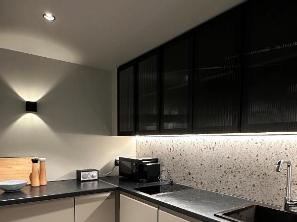 Studio apartment in central Reykjavik : photo 6 de la chambre studio double deluxe