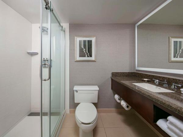 Sonesta Charlotte Lower South End : photo 4 de la chambre chambre lit king-size exécutive