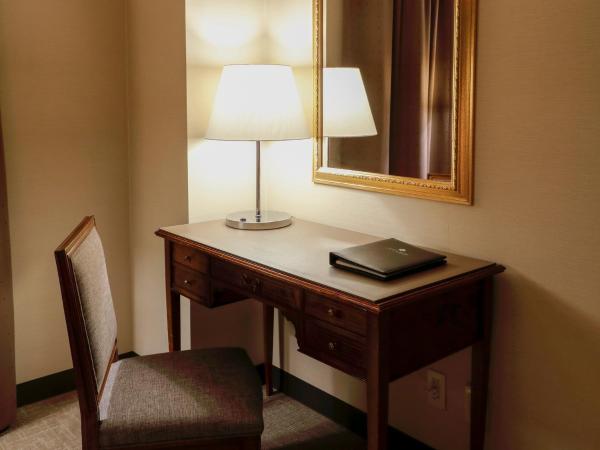 Premier Hotel -Tsubaki- Sapporo : photo 9 de la chambre chambre lits jumeaux de luxe - fumeurs