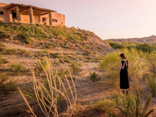 La Pause Agafay - Adults Only : photo 1 de la chambre chambre double ou lits jumeaux