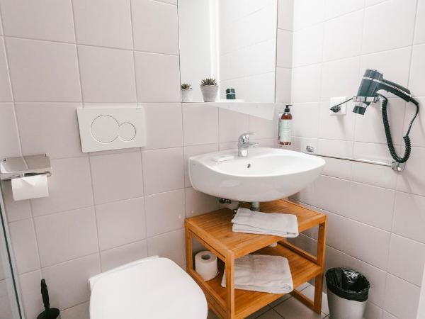 SwissTech Hotel : photo 5 de la chambre chambre double ou lits jumeaux standard