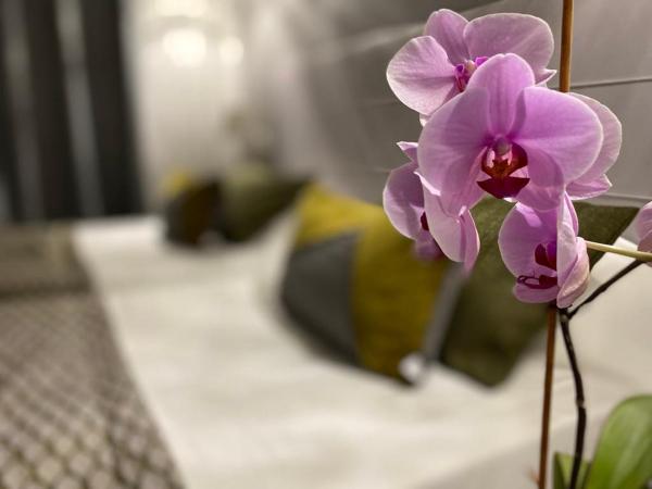 Brit Hotel Acacias : photo 3 de la chambre chambre double avec 2 lits simples (14 m²)