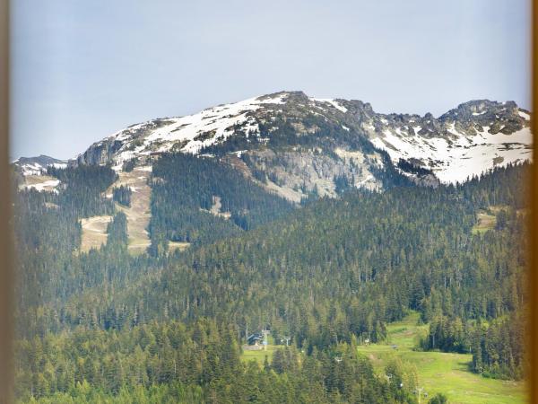 Cascade Lodge : photo 7 de la chambre chambre double - vue sur montagne