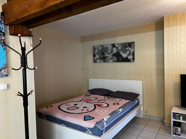 Bonheur : photo 3 de la chambre studio