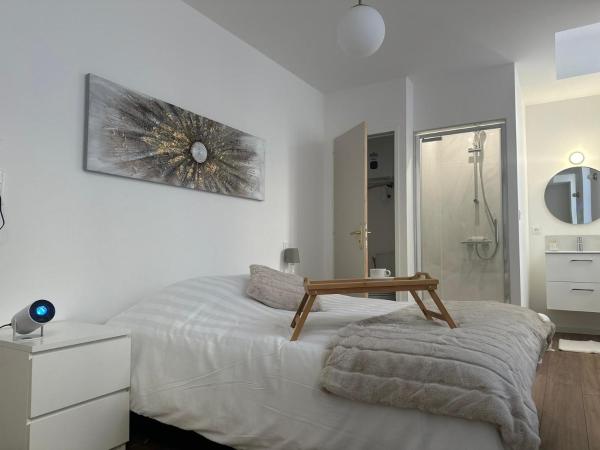 Maison des ambans chambres d'hotes hypercentre 200m de la gare et petit dejeuner inclus : photo 7 de la chambre suite