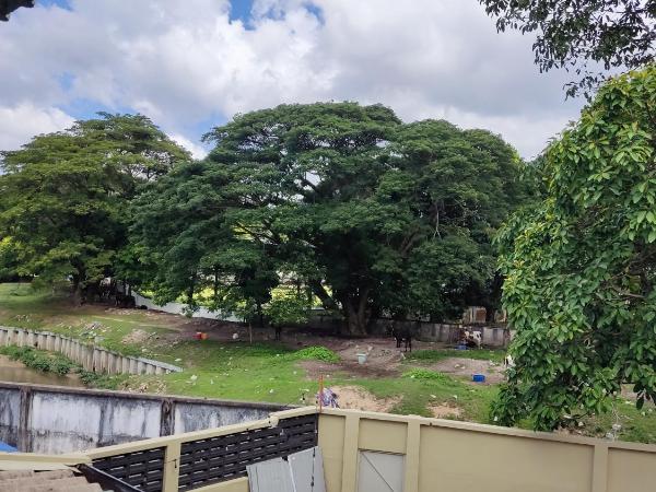 Scotland 18 Lodge : photo 5 de la chambre chambre supérieure avec 2 lits queen-size