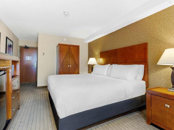 Sandman Hotel & Suites London Downtown : photo 2 de la chambre chambre lit king-size