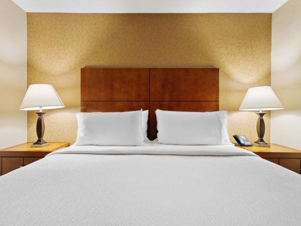 Sandman Hotel & Suites London Downtown : photo 3 de la chambre suite lit king-size avec canapé-lit