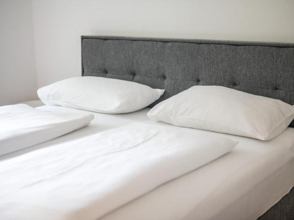 sHome Apartments Graz Ost - Self-Check-in & free parking : photo 5 de la chambre appartement 2 chambres avec terrasse