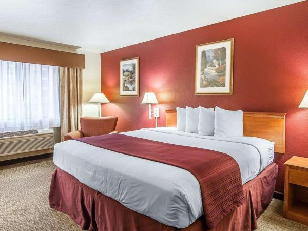 Quality Inn Downtown Convention Center : photo 1 de la chambre chambre lit king-size - non-fumeurs