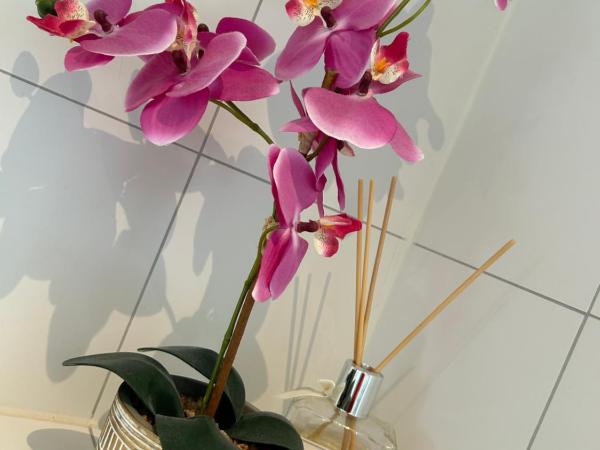 B&B Zunderdorp : photo 10 de la chambre studio familial