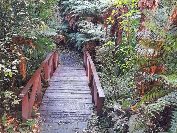 North Dunedin Woodland Sanctuary : photo 1 de la chambre appartement - vue sur jardin