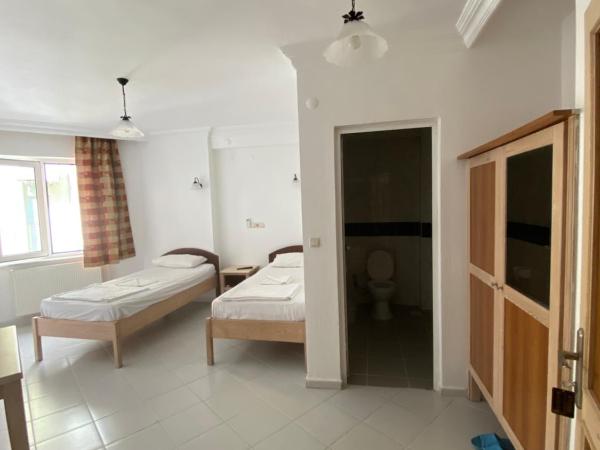 AY OTEL 2 : photo 7 de la chambre chambre lits jumeaux Économique