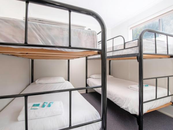 Echo Holiday Parks - Windsor Gardens : photo 4 de la chambre cabines familiales