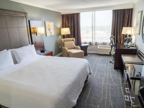 Holiday Inn Orlando East-UCF Area, an IHG Hotel : photo 4 de la chambre chambre lit king-size standard