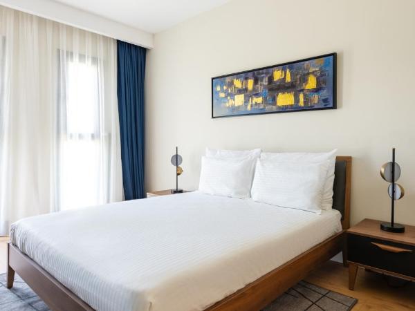 The Superior Living Kağıthane : photo 7 de la chambre appartement supérieur 2 chambres