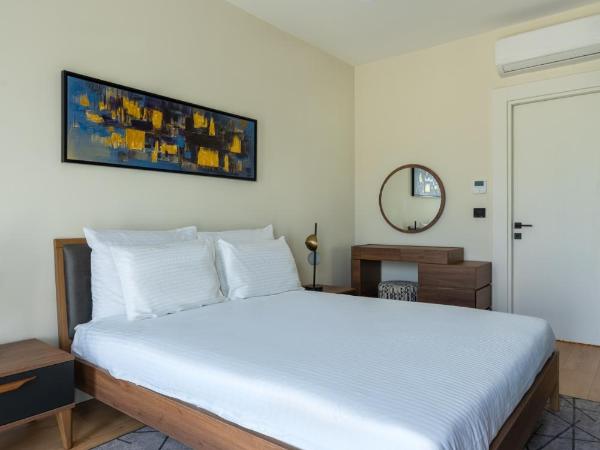 The Superior Living Kağıthane : photo 8 de la chambre appartement supérieur 2 chambres