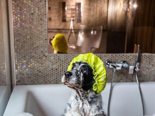 Milan Suite Hotel : photo 7 de la chambre suite junior avec douche d'hydromassage