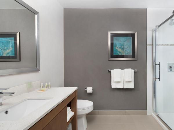 Holiday Inn Hotel & Suites - Montreal Centre-ville Ouest, an IHG Hotel : photo 1 de la chambre chambre 2 lits queen-size standard avec baignoire - accessible aux personnes à mobilité réduite