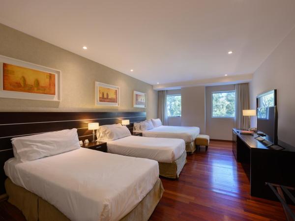 Orfeo Suites Cordoba : photo 1 de la chambre chambre quadruple