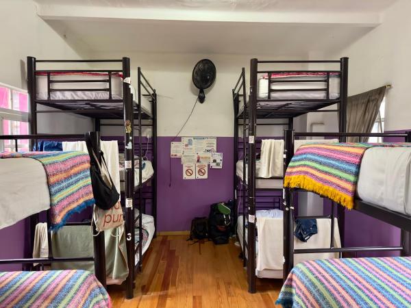 Massiosare El Hostal : photo 1 de la chambre lit dans dortoir mixte de 10 lits