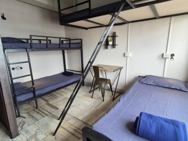 Bohemian Backpackers Kolkata : photo 2 de la chambre lit superposé dans dortoir pour femmes 
