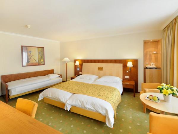 Hôtel de la Paix Lausanne : photo 1 de la chambre chambre triple