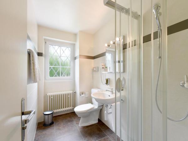 Hotel du Léman - Jongny : photo 3 de la chambre chambre double Économique - vue sur lac