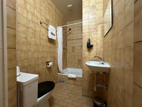 Hotel des Tourelles : photo 4 de la chambre chambre simple avec salle de bains extérieure privative