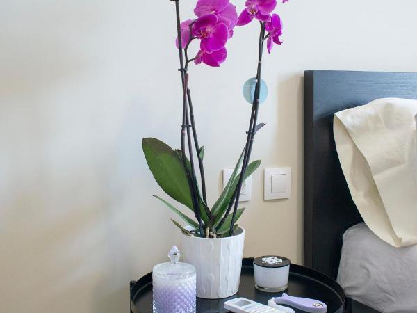 Ancient Agora Plaka : photo 4 de la chambre chambre lit king-size supérieure