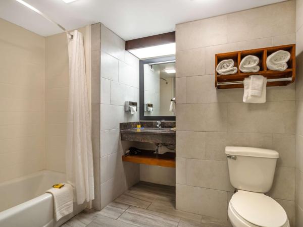 Best Western Plus Houston Energy Corridor : photo 4 de la chambre chambre lit king-size avec canapé-lit