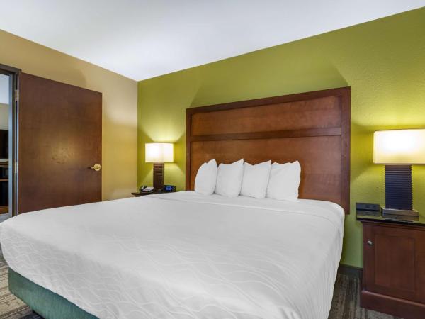 Best Western Plus Houston Energy Corridor : photo 1 de la chambre suite lit king-size avec canapé-lit