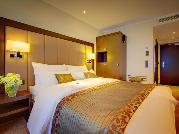 Hotel Favor : photo 1 de la chambre chambre double premium