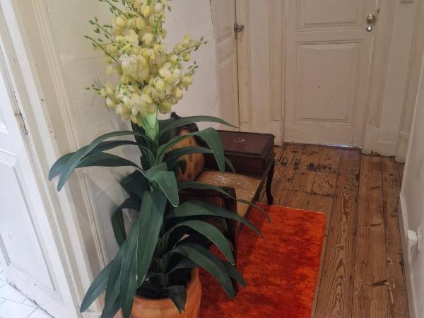 D&N Hospedagem : photo 6 de la chambre dortoir mixte