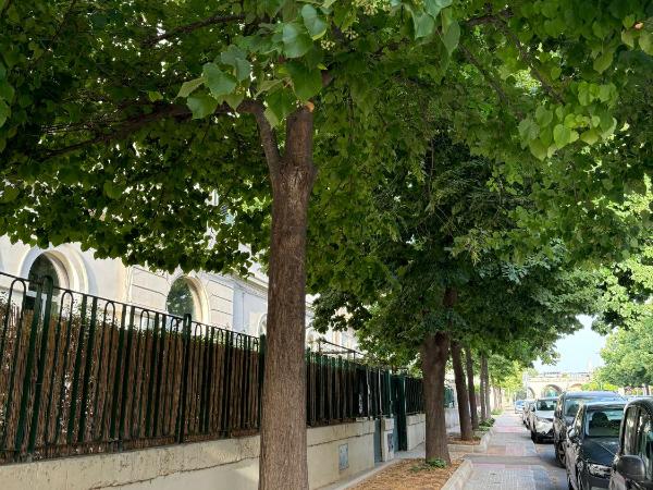 La casetta di Carola : photo 1 de la chambre maisonnette