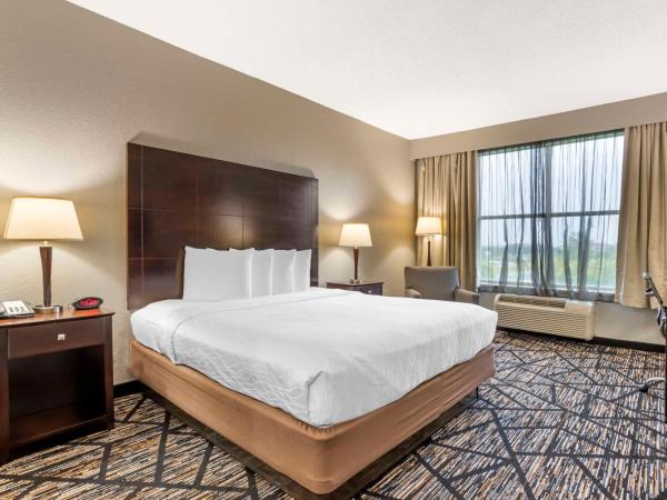 Best Western PLUS Hobby Airport Inn and Suites : photo 1 de la chambre chambre lit king-size - non-fumeurs