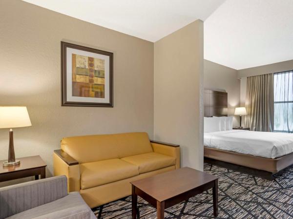 Best Western PLUS Hobby Airport Inn and Suites : photo 1 de la chambre chambre lit king-size - adaptée aux personnes malentendantes/non-fumeurs 