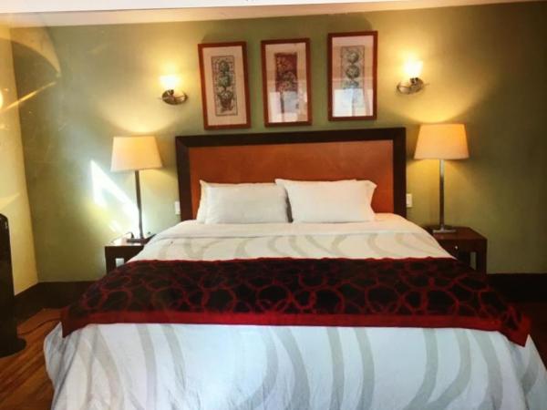 West coast guesthouse : photo 1 de la chambre chambre familiale