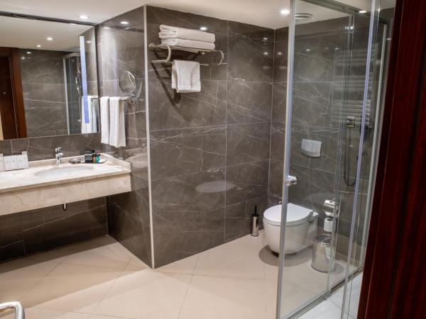 Grand Aras Hotel & Suites : photo 6 de la chambre chambre lit king-size supérieure