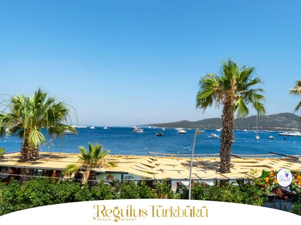 Regulus Hotel Türkbükü : photo 1 de la chambre chambre double deluxe - vue sur mer