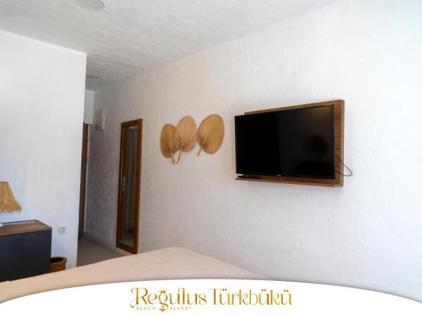 Regulus Hotel Türkbükü : photo 2 de la chambre chambre double - vue sur jardin