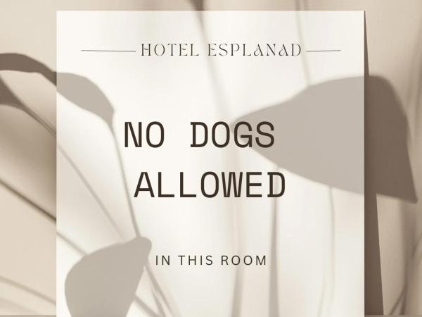 Hotell Esplanad : photo 7 de la chambre chambre simple standard