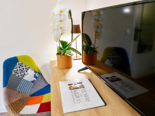 Le Mas Des Aigras - Hôtel de Charme en Provence : photo 2 de la chambre chambre lits jumeaux