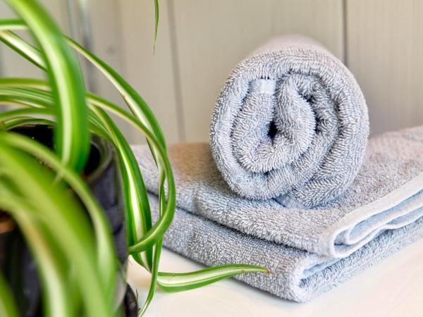 Le Mas Des Aigras - Hôtel de Charme en Provence : photo 5 de la chambre chambre double deluxe