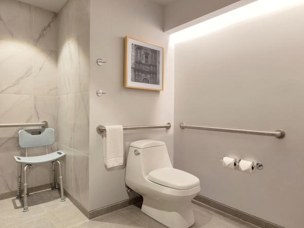 Hilton Garden Inn Guadalajara Airport : photo 4 de la chambre chambre lit king-size avec douche accessible en fauteuil roulant - adaptée aux personnes à mobilité réduite