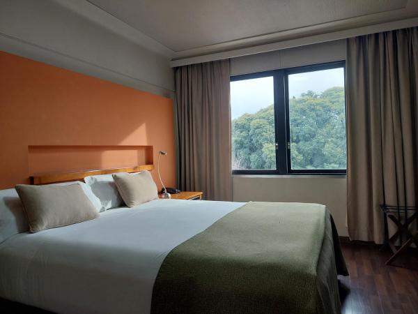 Hotel Raices Aconcagua : photo 1 de la chambre chambre quadruple standard