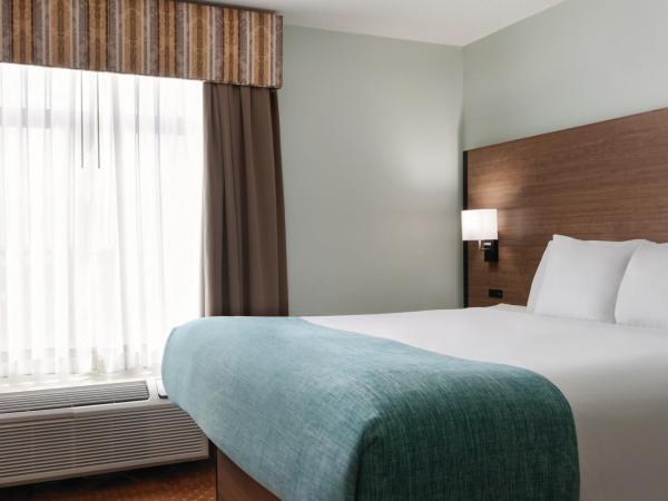 Wingate by Wyndham Louisville East : photo 3 de la chambre chambre lit king-size - accessible aux personnes à mobilité réduite