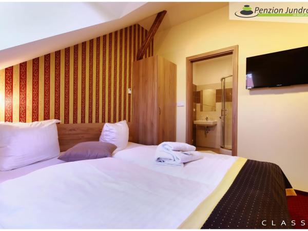 Penzion Vanessa : photo 1 de la chambre chambre double ou lits jumeaux standard