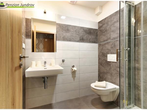 Penzion Vanessa : photo 7 de la chambre chambre double ou lits jumeaux standard